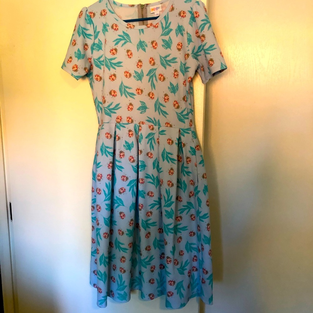 Lularoe dress